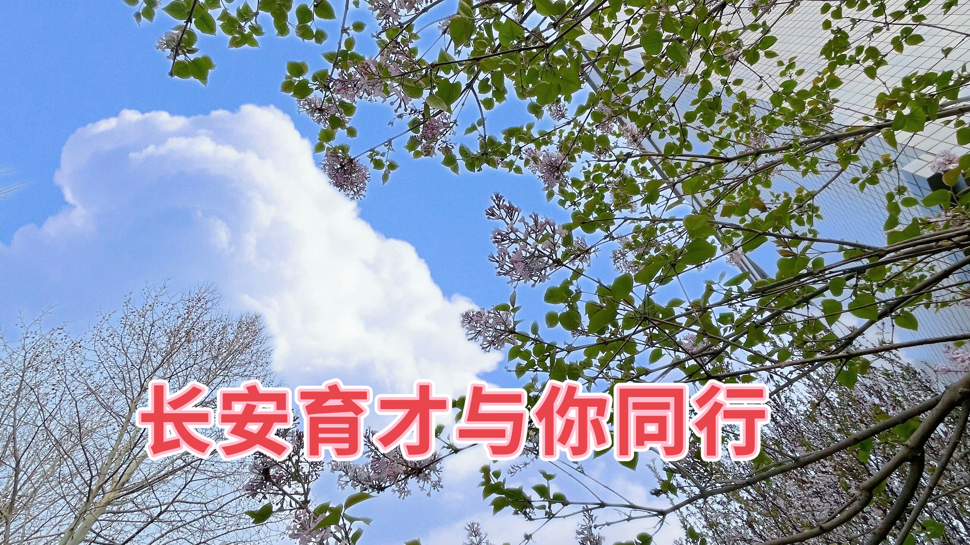 春分‖春日好時(shí)光，攜手共同行